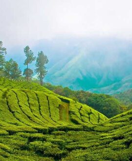 Coorg